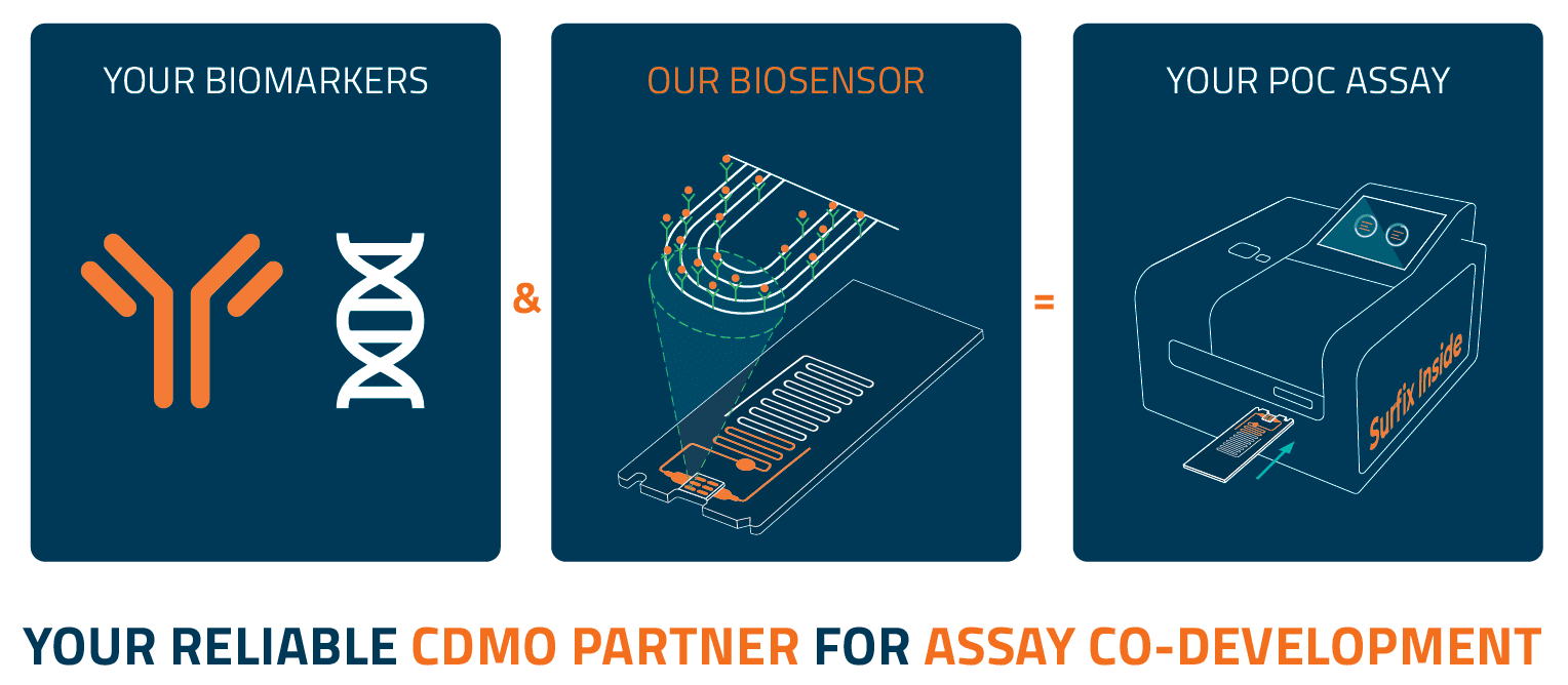 CDMO overview.png